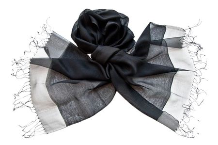 Шелковый палантин Tranini 1860 PAL 4