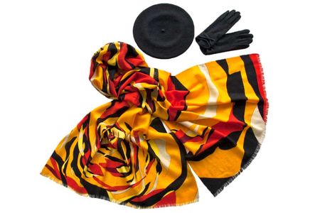 Комплект женский Tonak+Tranini  берет+палантин+перчатки 39014