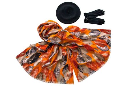 Комплект женский Tonak+Tranini  берет+палантин+перчатки 45069