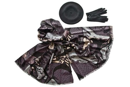 Комплект женский Tonak+Tranini  берет+палантин+перчатки 51029